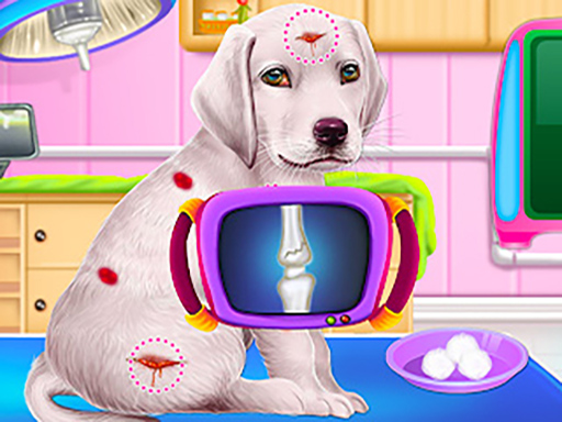 Labrador Puppy Daycare Salon thumbnail